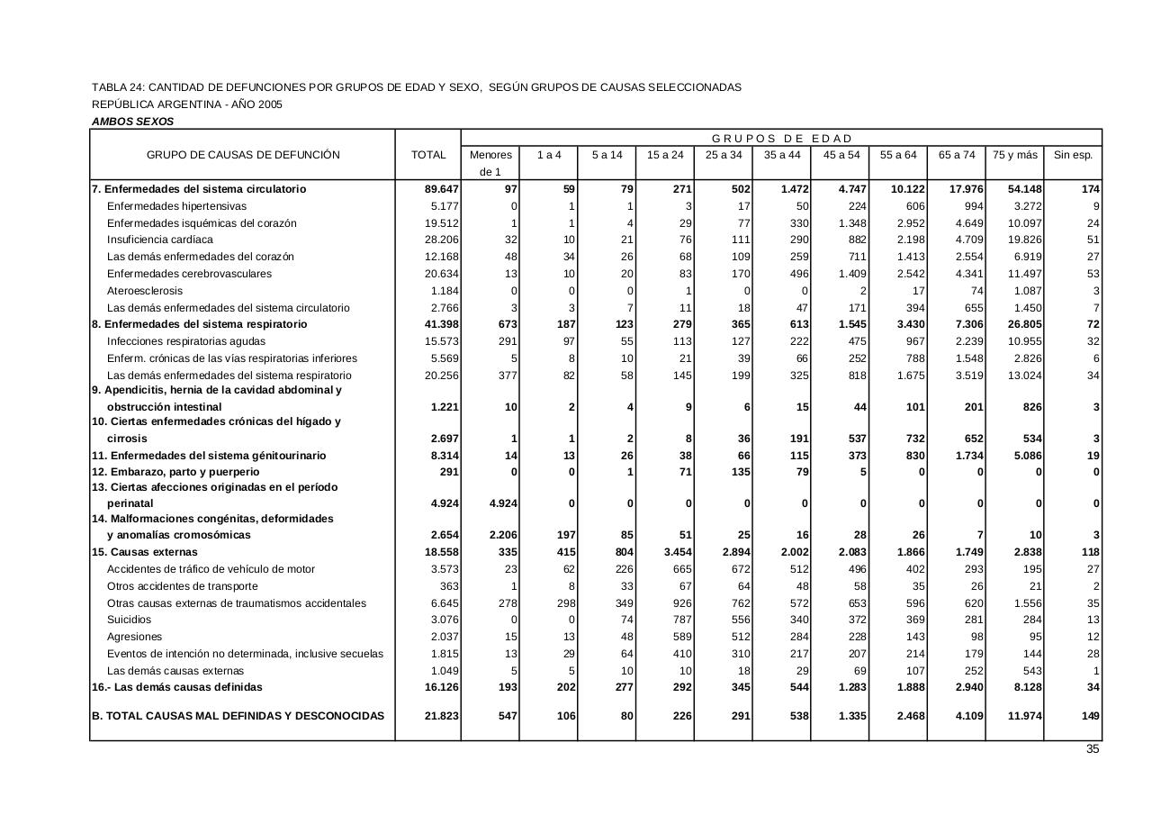 Vista previa del archivo PDF serie5nro49---2005.pdf
