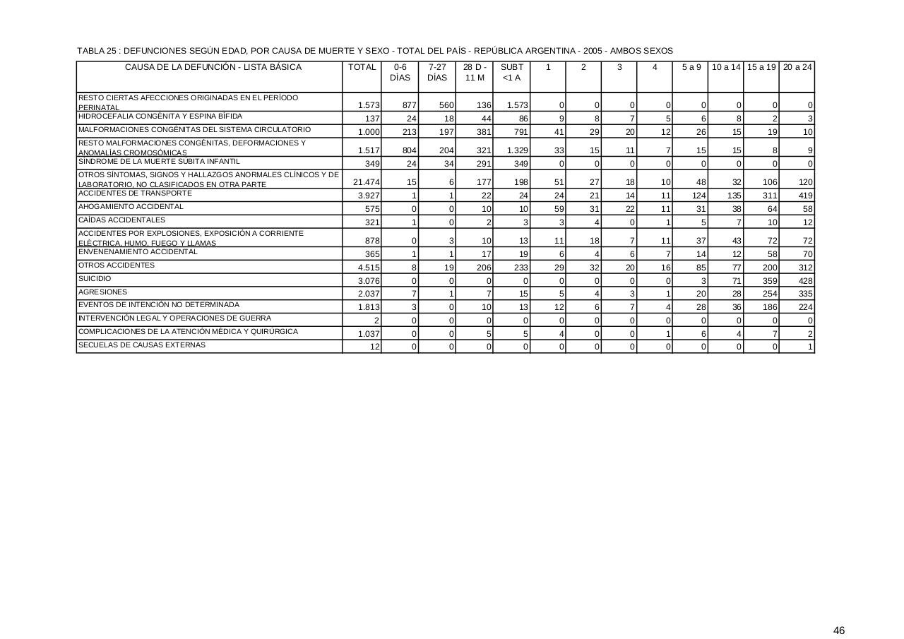 Vista previa del archivo PDF serie5nro49---2005.pdf