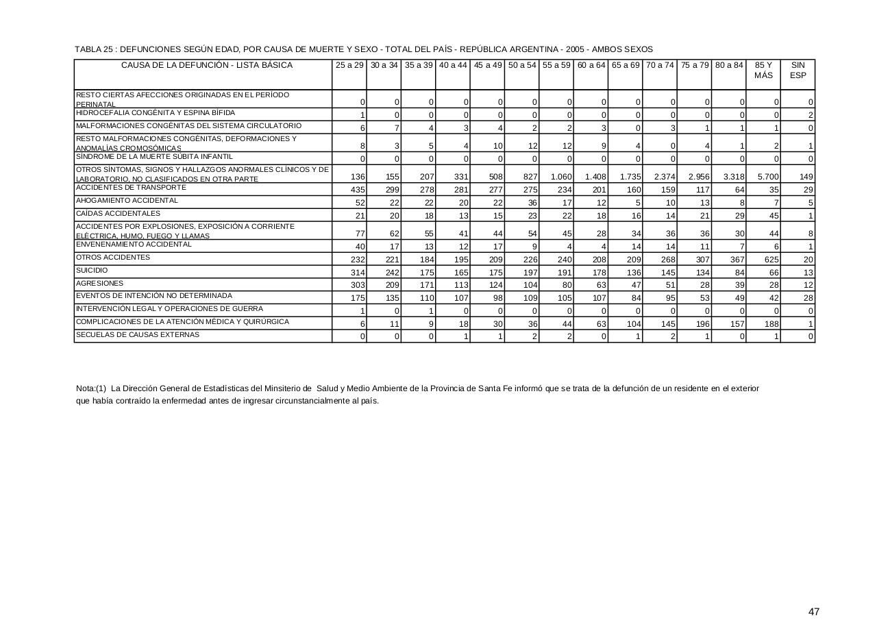 Vista previa del archivo PDF serie5nro49---2005.pdf