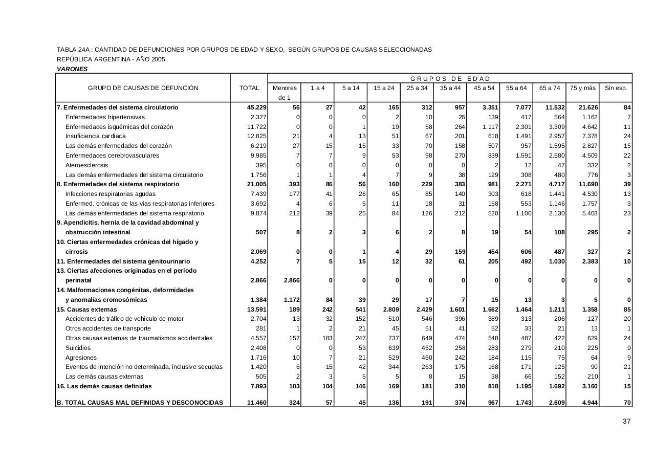 Vista previa del archivo PDF serie5nro49---2005.pdf