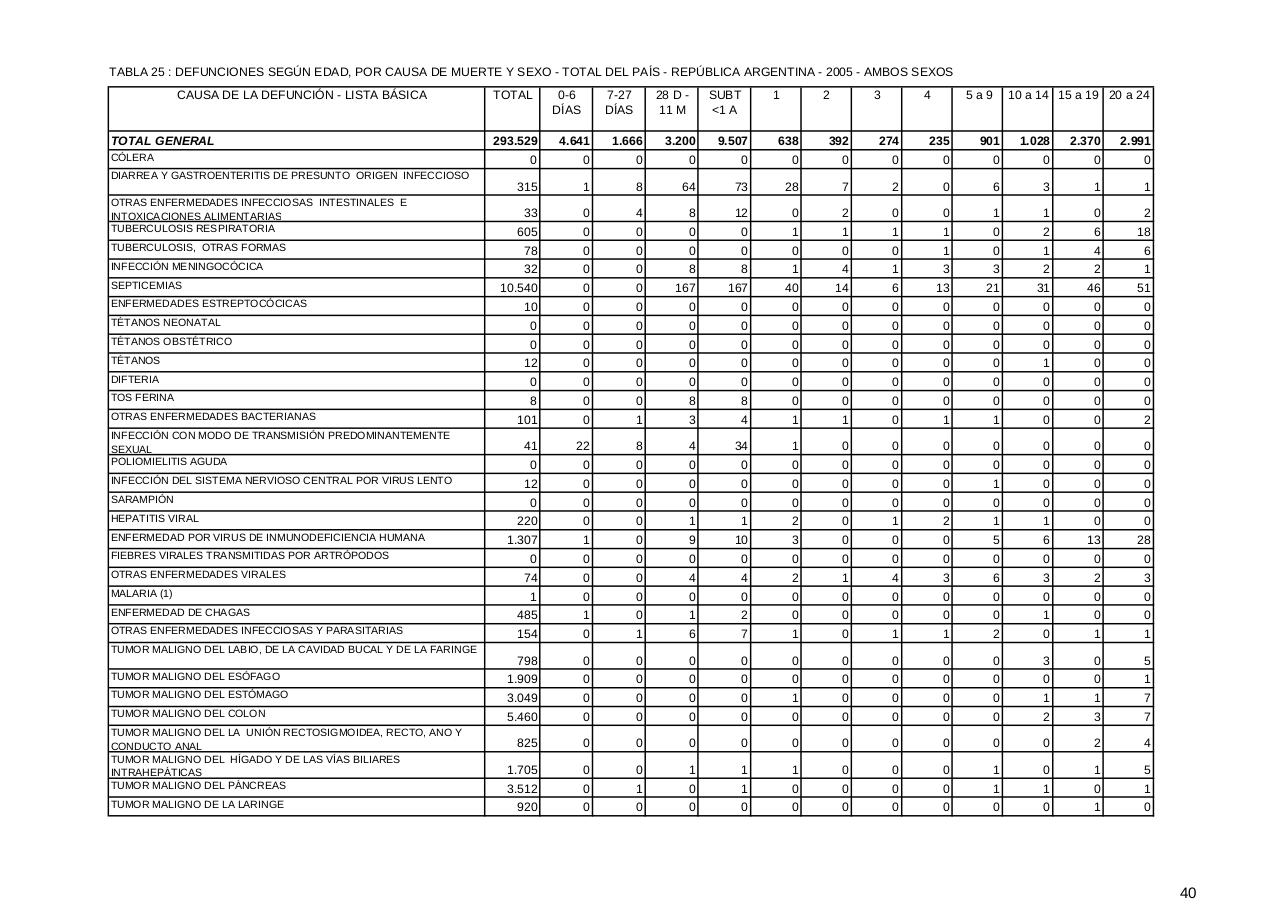 Vista previa del archivo PDF serie5nro49---2005.pdf