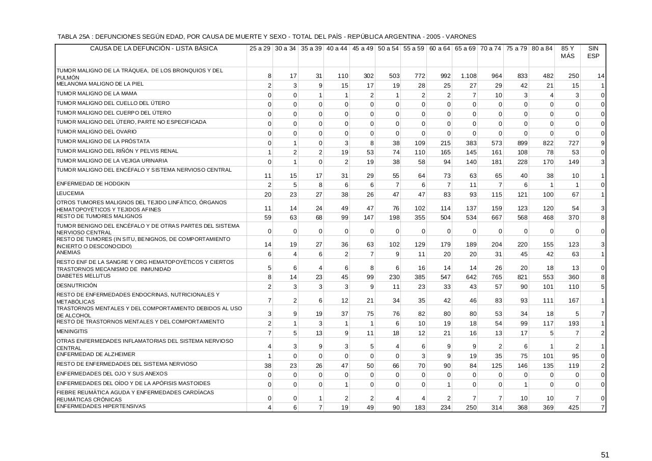 Vista previa del archivo PDF serie5nro49---2005.pdf