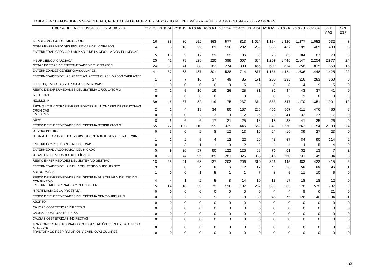 Vista previa del archivo PDF serie5nro49---2005.pdf