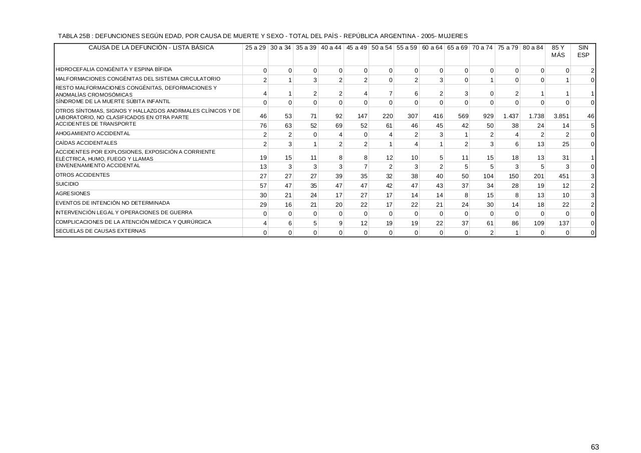 Vista previa del archivo PDF serie5nro49---2005.pdf