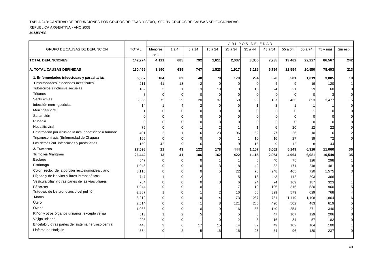 Vista previa del archivo PDF serie5nro52---2008.pdf