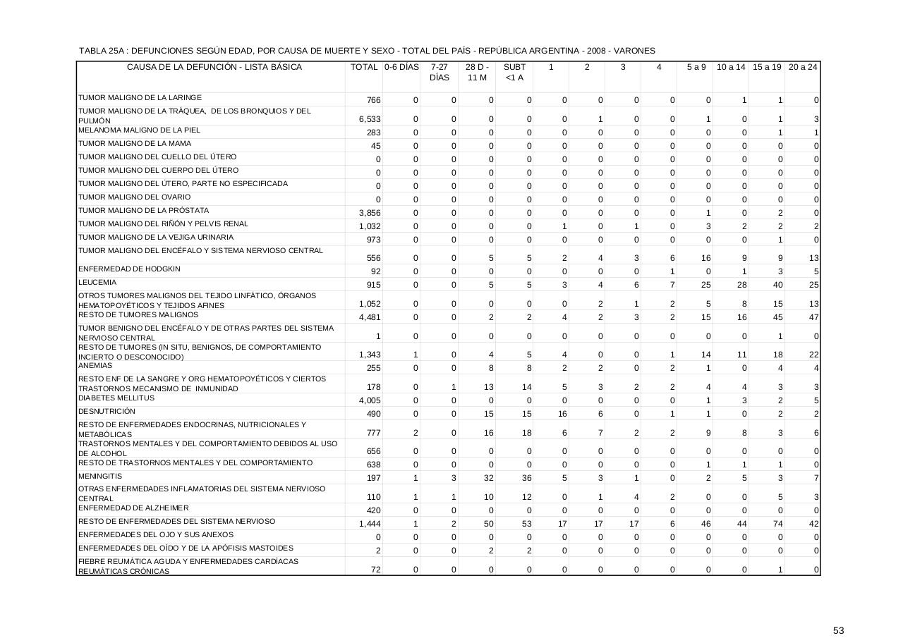 Vista previa del archivo PDF serie5nro52---2008.pdf