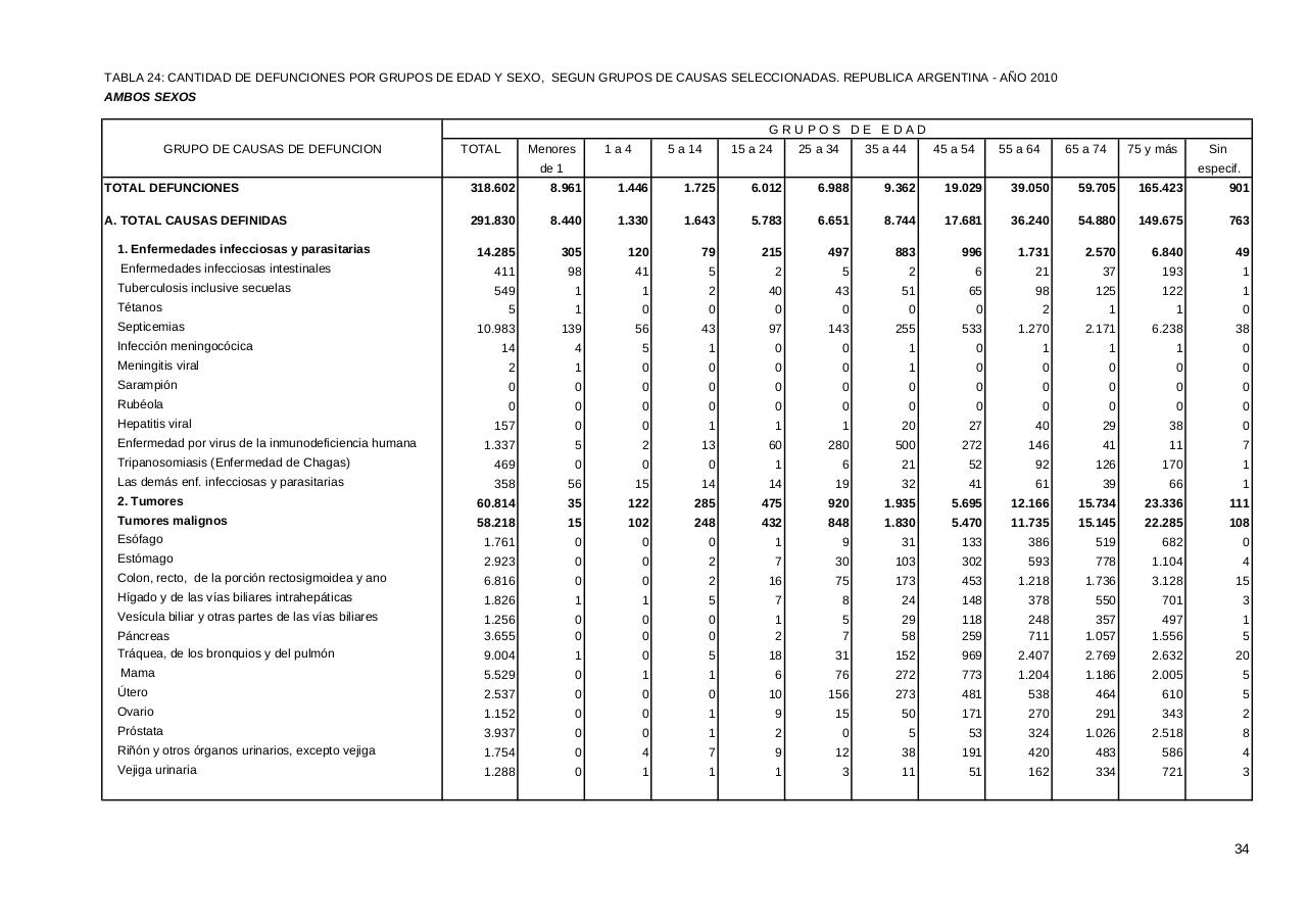 Vista previa del archivo PDF serie5nro54---2010.pdf