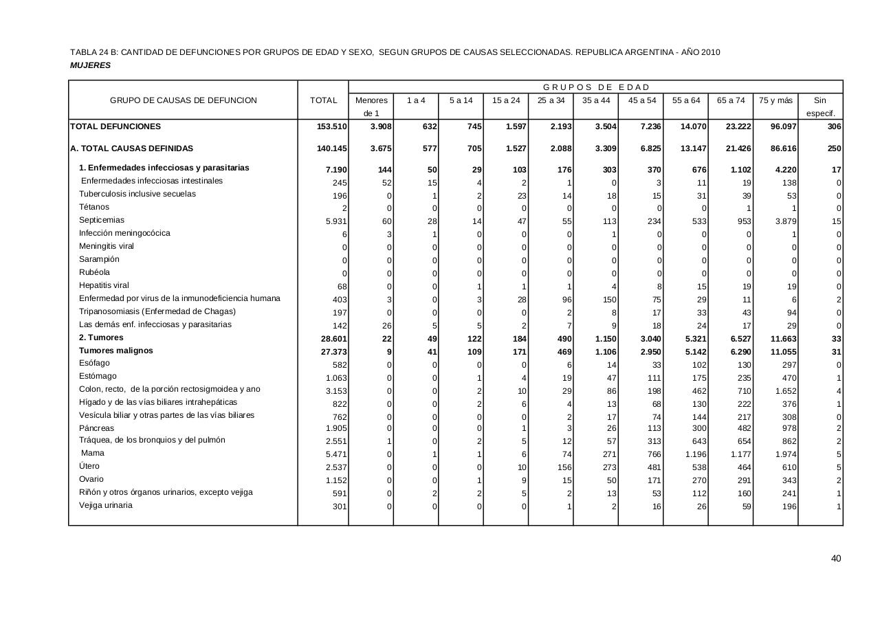 Vista previa del archivo PDF serie5nro54---2010.pdf
