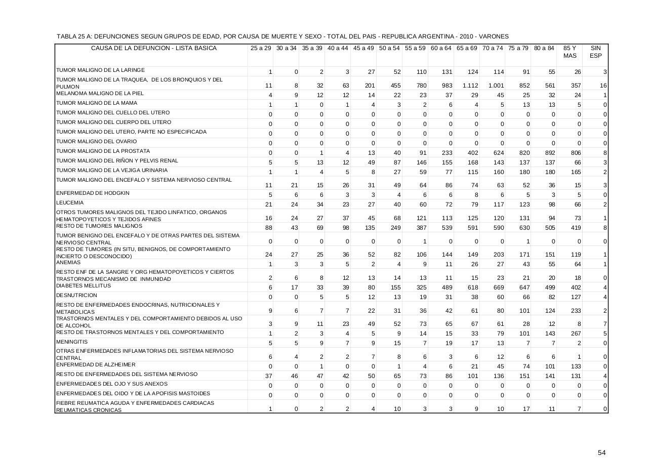 Vista previa del archivo PDF serie5nro54---2010.pdf