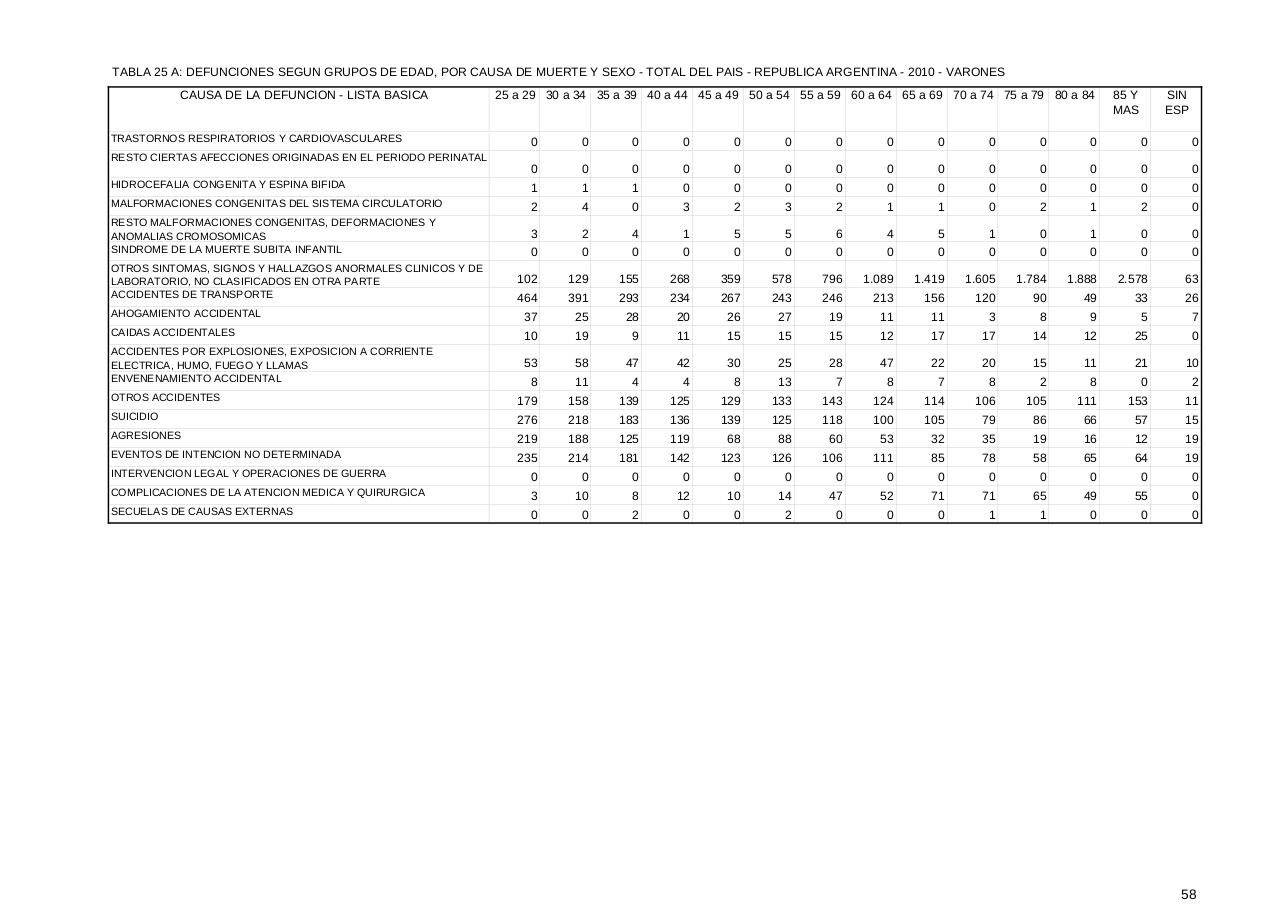 Vista previa del archivo PDF serie5nro54---2010.pdf