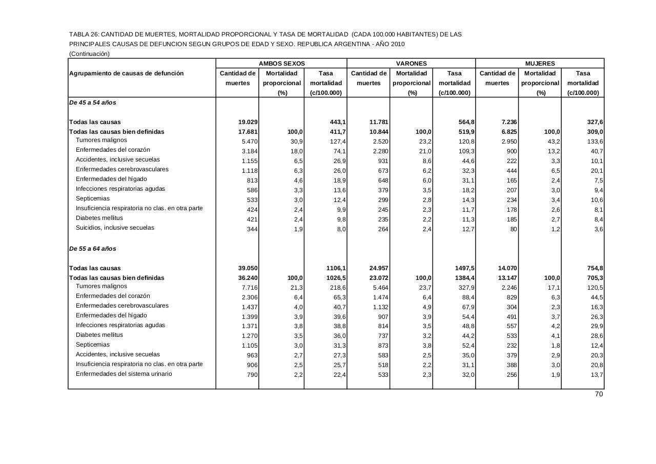 Vista previa del archivo PDF serie5nro54---2010.pdf