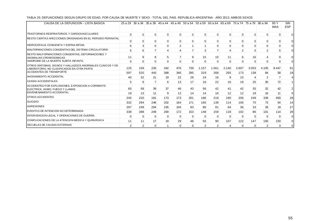 Vista previa del archivo PDF serie5nro57---2013.pdf