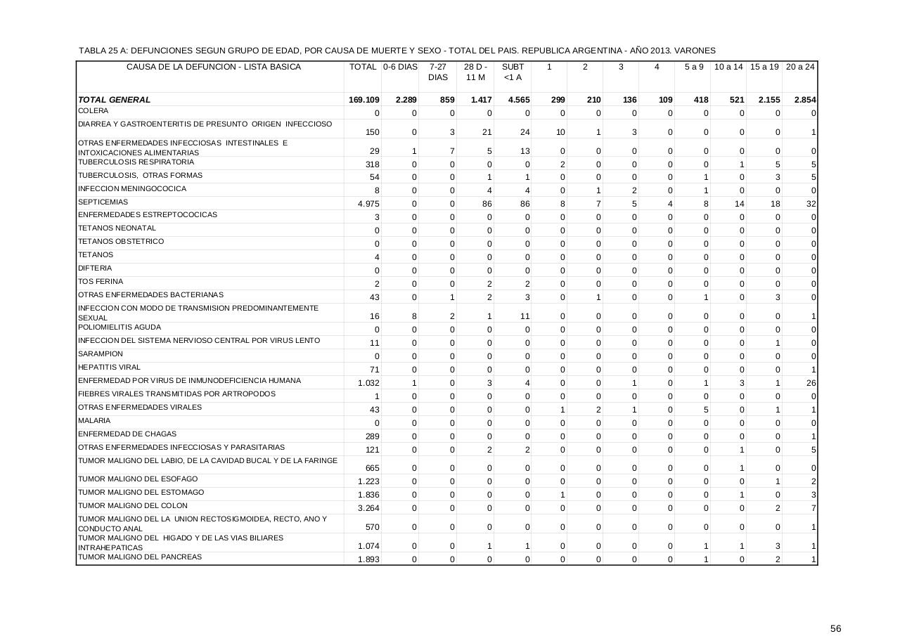 Vista previa del archivo PDF serie5nro57---2013.pdf