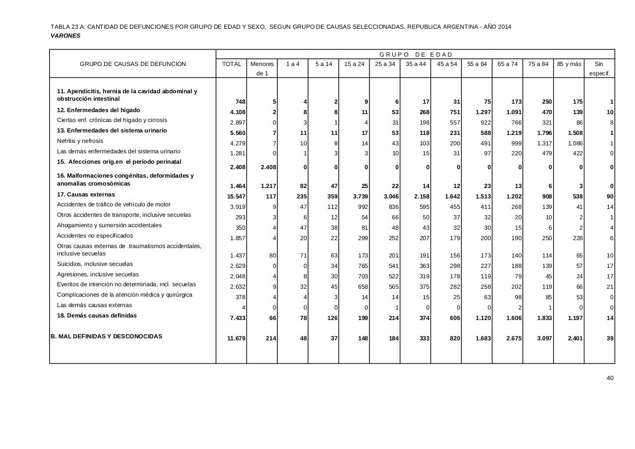 Vista previa del archivo PDF serie5nro58---2014.pdf