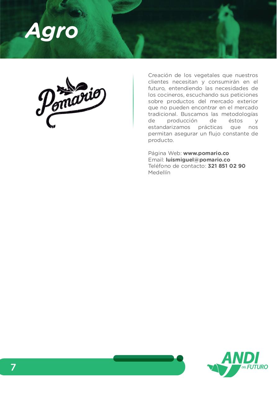 Vista previa del archivo PDF directorio-andi.pdf
