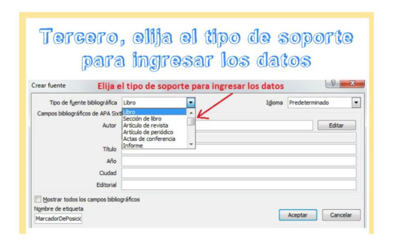 Vista previa del archivo PDF citacion-guia-practica.pdf