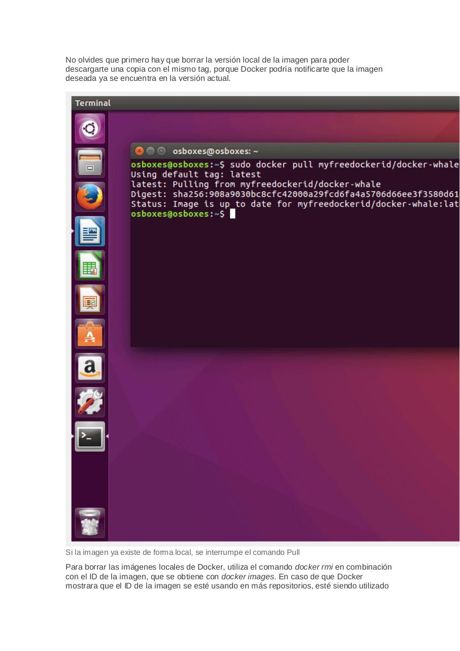 Vista previa del archivo PDF docker.pdf
