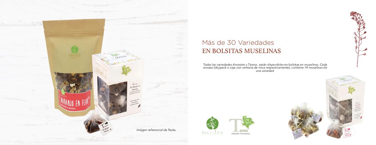 Vista previa del archivo PDF catalogo-rimu-doble.pdf