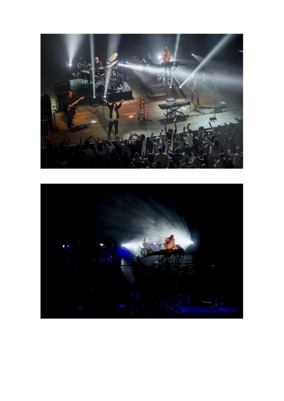 Vista previa del archivo PDF msn.pdf