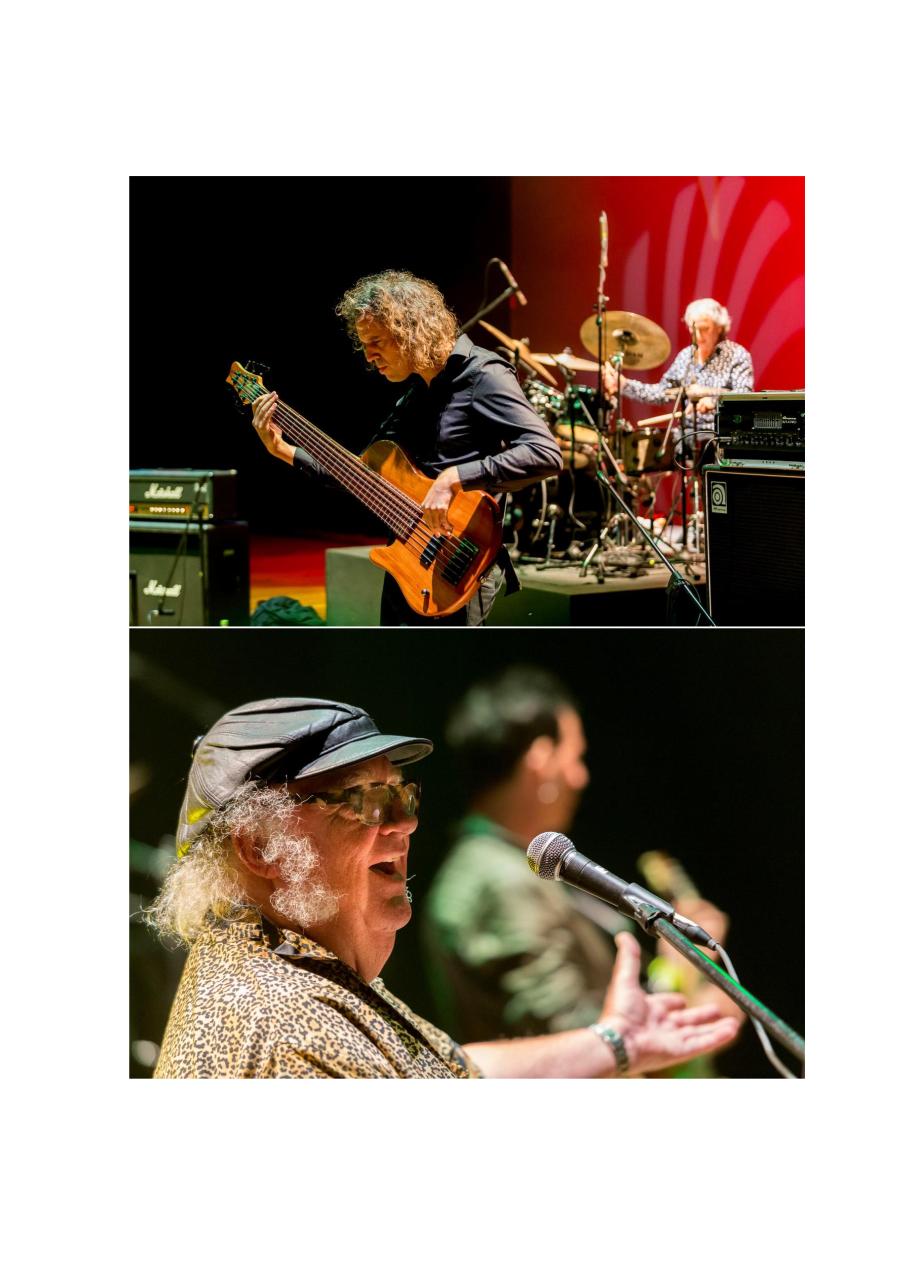 Vista previa del archivo PDF msn.pdf