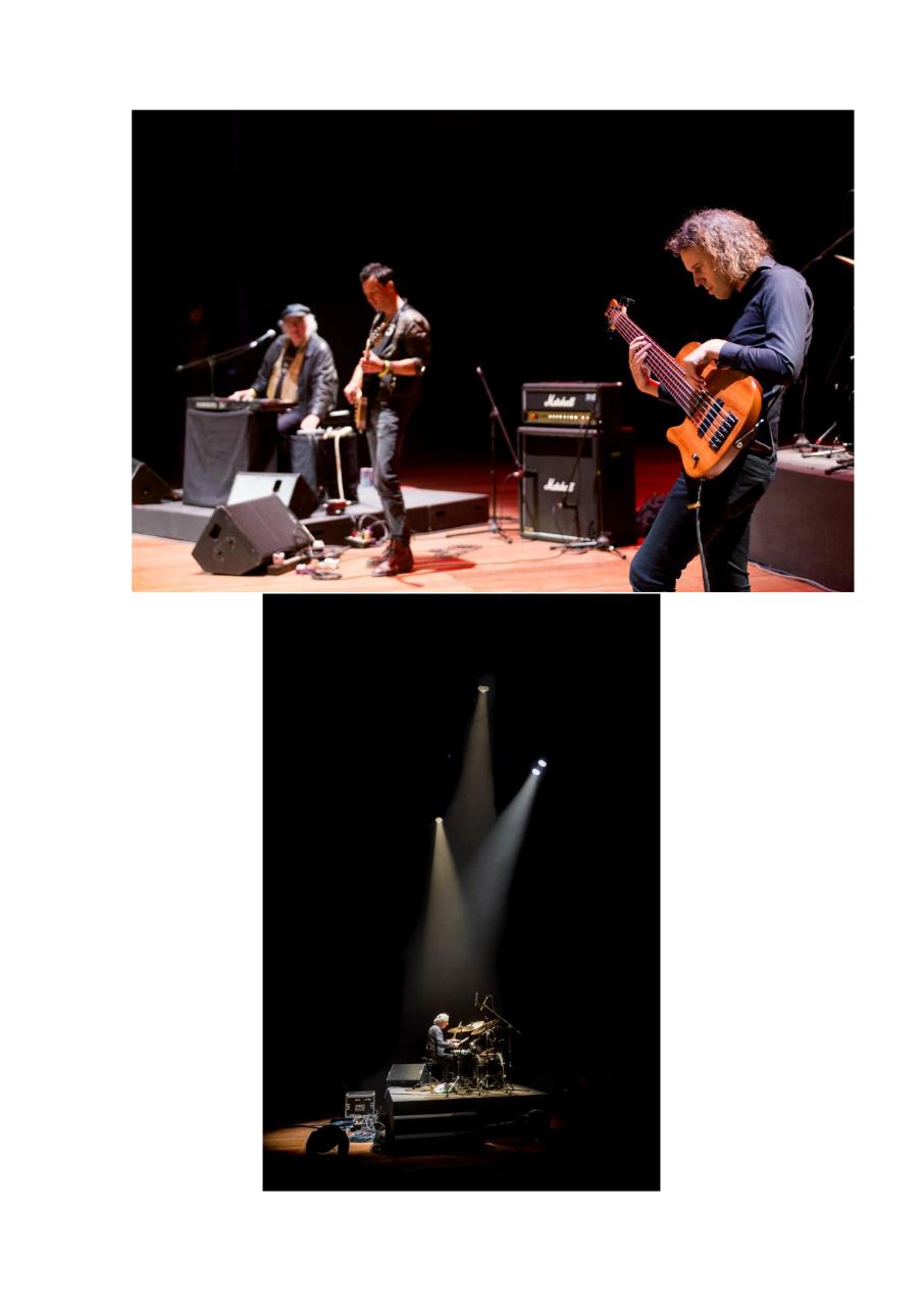 Vista previa del archivo PDF msn.pdf