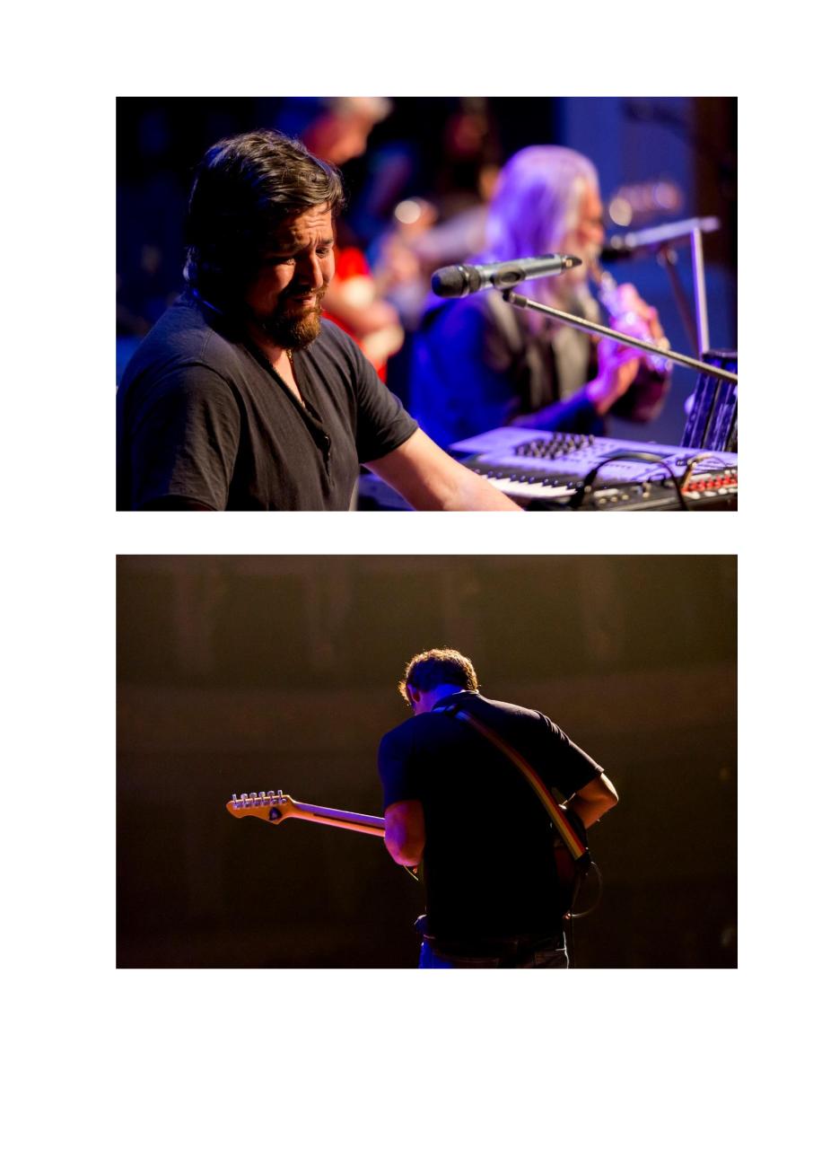 Vista previa del archivo PDF msn.pdf