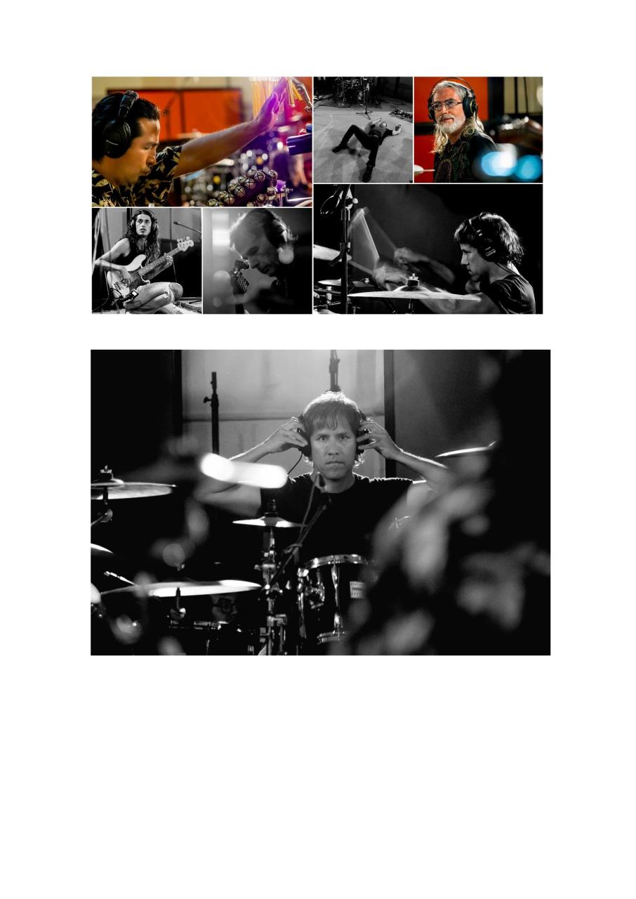 Vista previa del archivo PDF msn.pdf