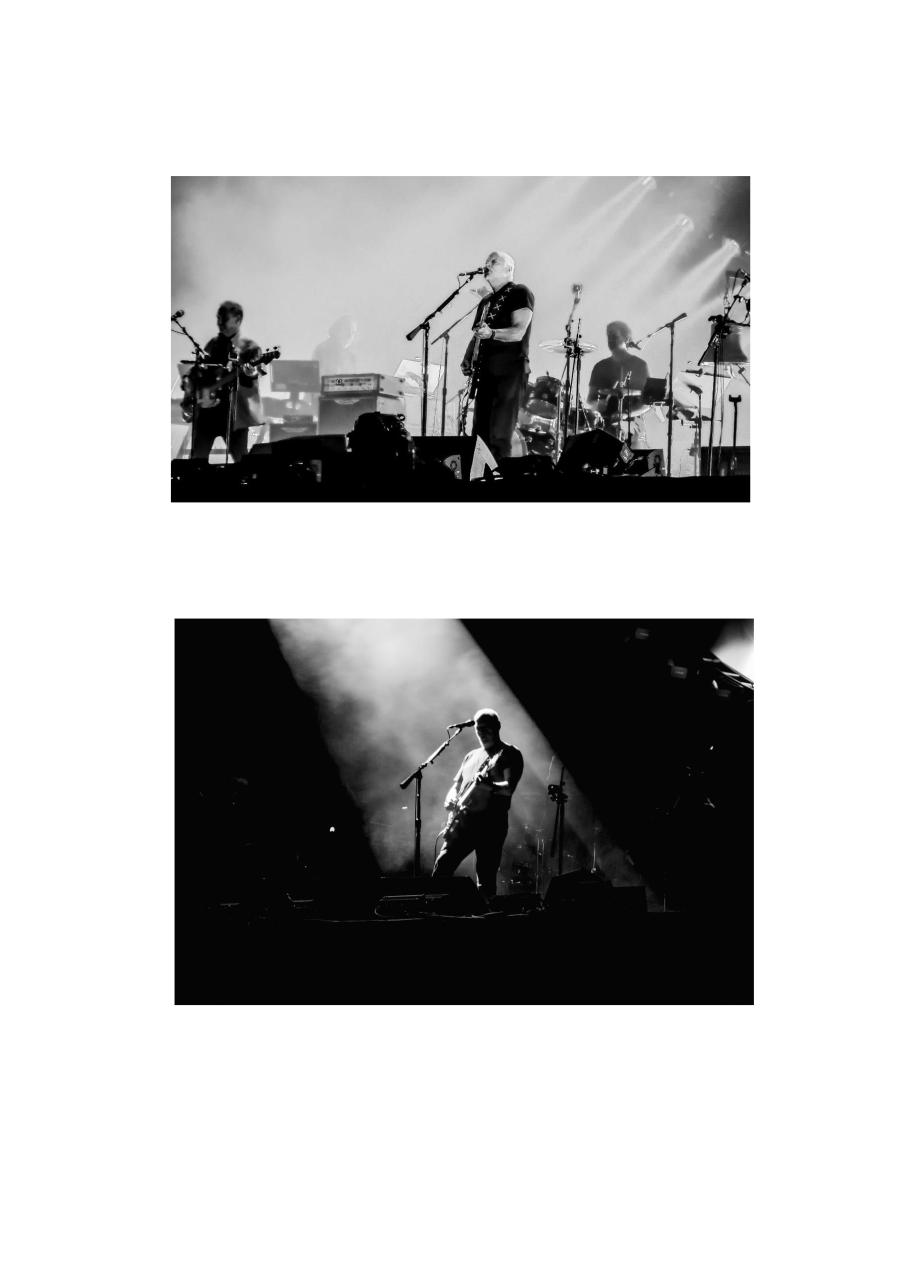 Vista previa del archivo PDF msn.pdf