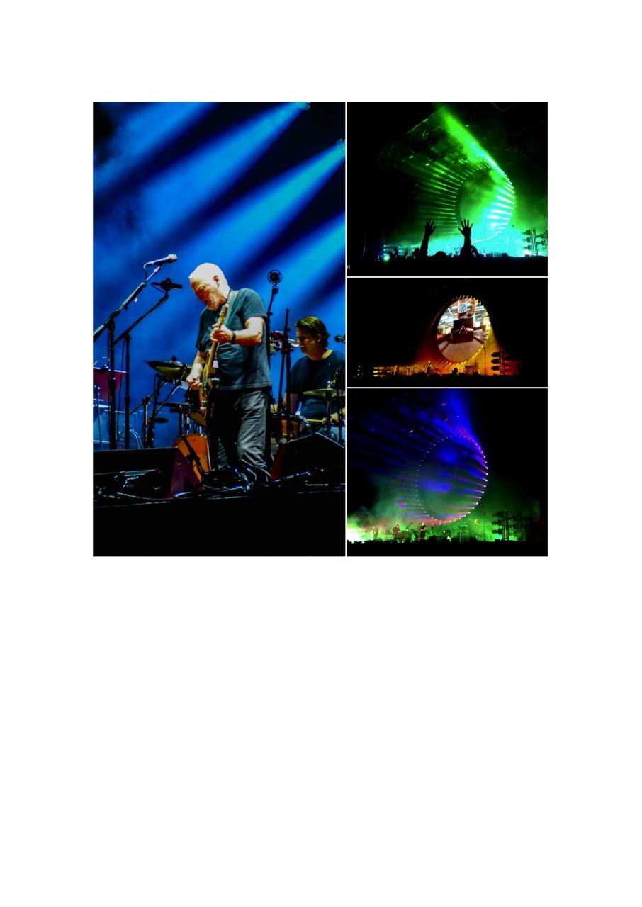 Vista previa del archivo PDF msn.pdf