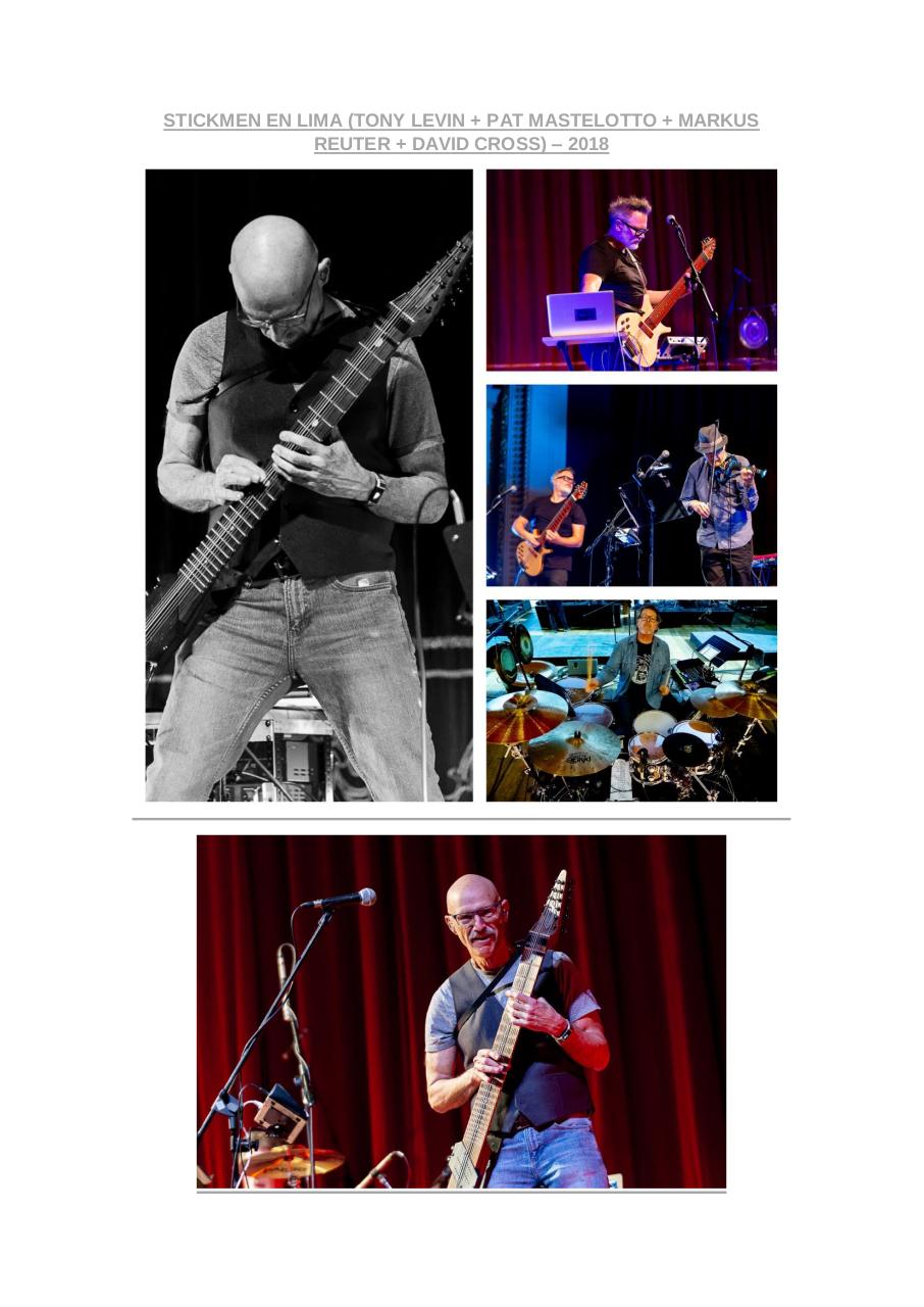 Vista previa del archivo PDF msn.pdf