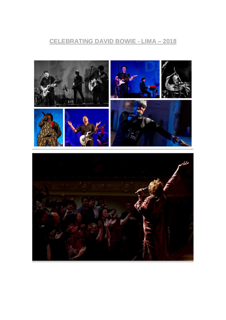 Vista previa del archivo PDF msn.pdf