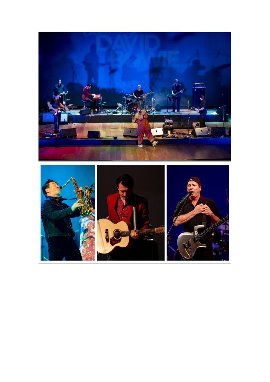 Vista previa del archivo PDF msn.pdf