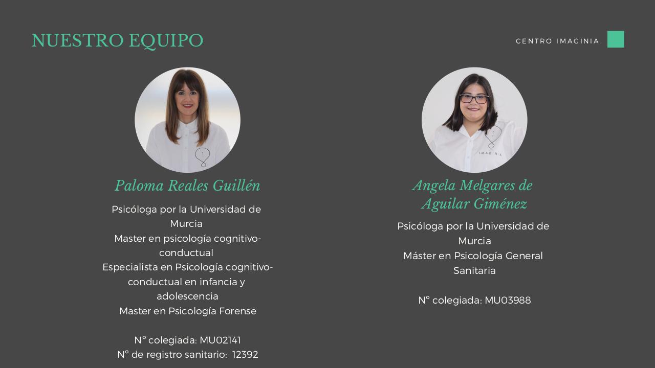 Vista previa del archivo PDF imaginia-online.pdf