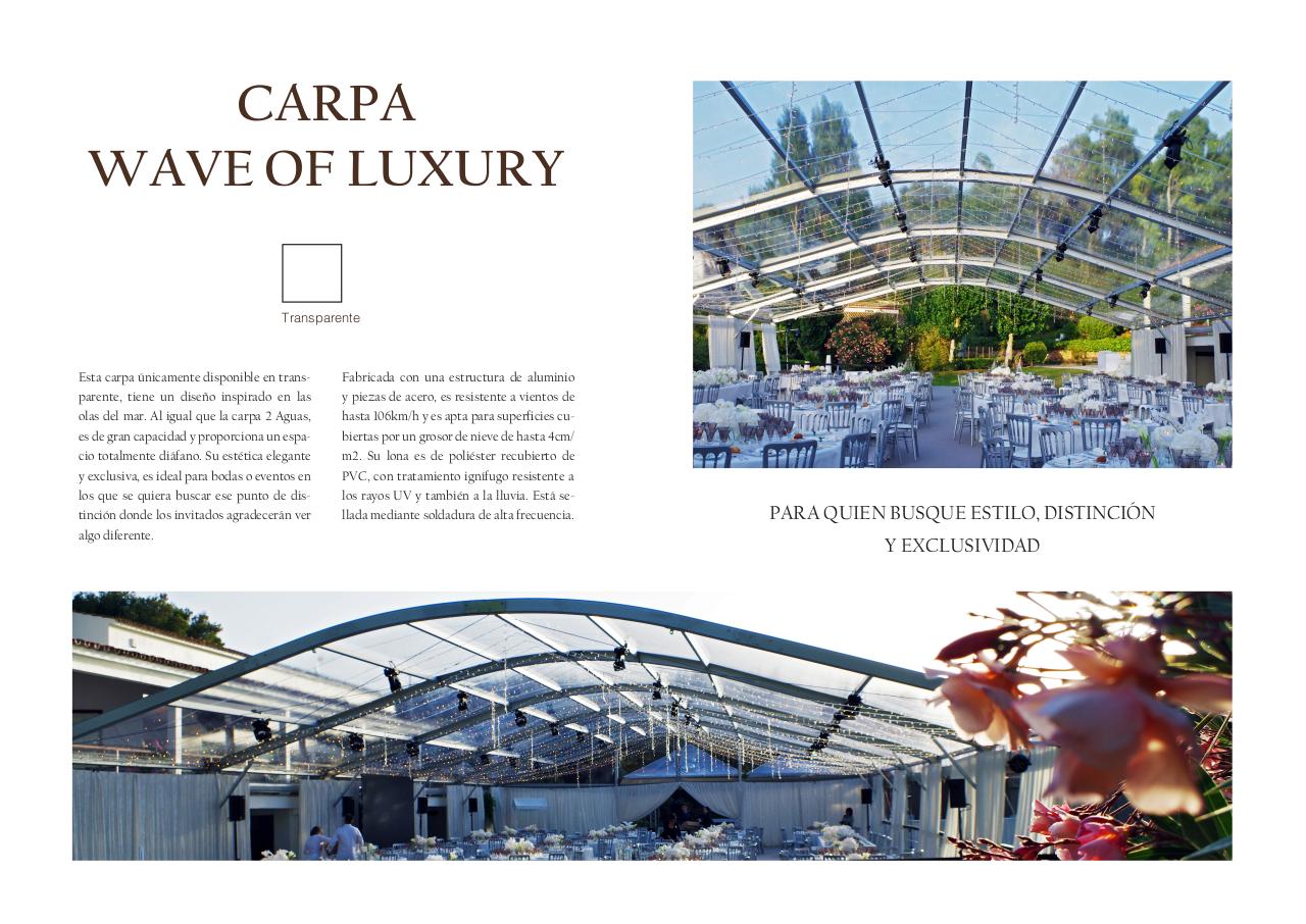 Vista previa del archivo PDF catlogo-actuality-carpas.pdf