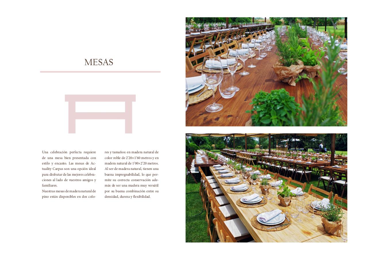 Vista previa del archivo PDF catlogo-actuality-carpas.pdf