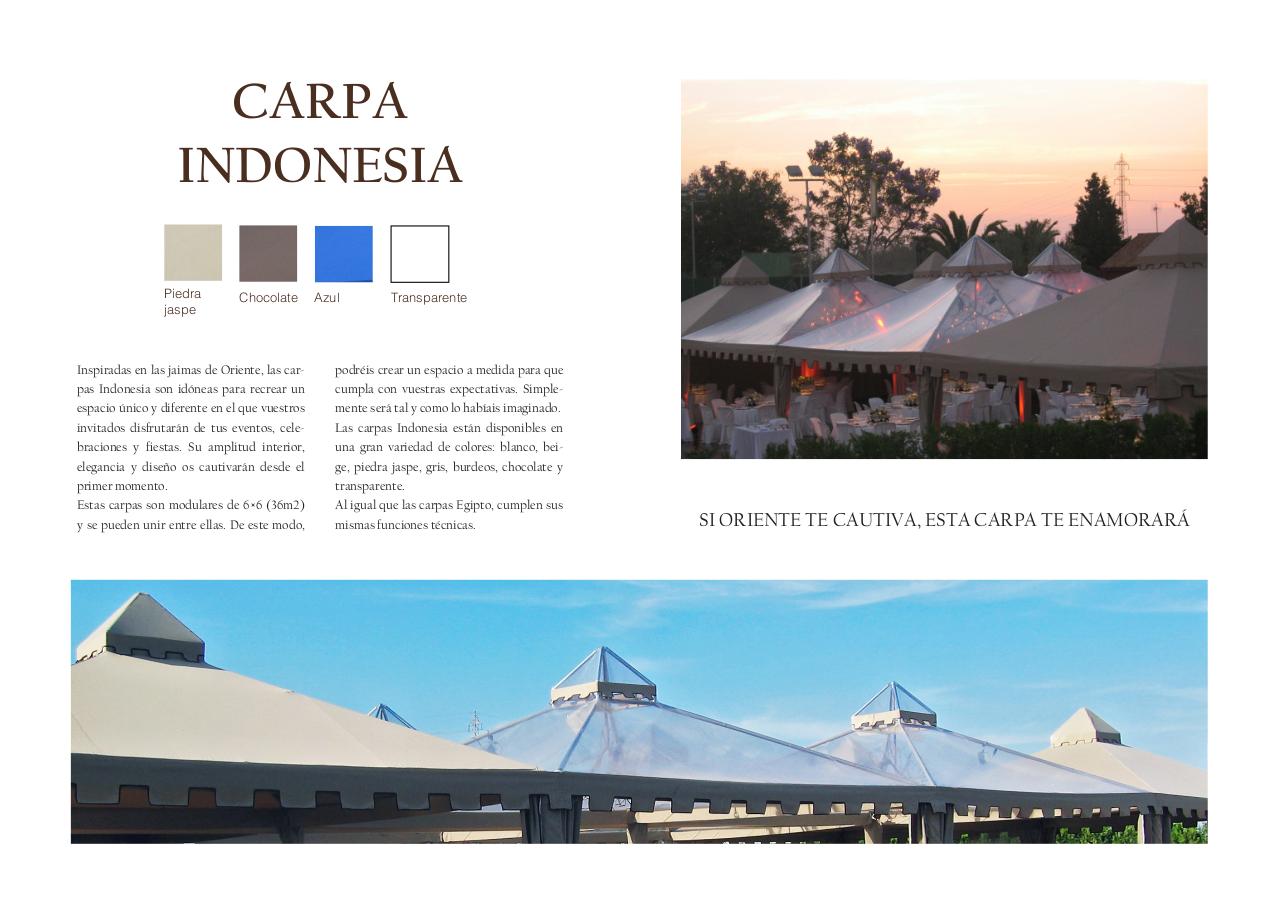 Vista previa del archivo PDF catlogo-actuality-carpas.pdf