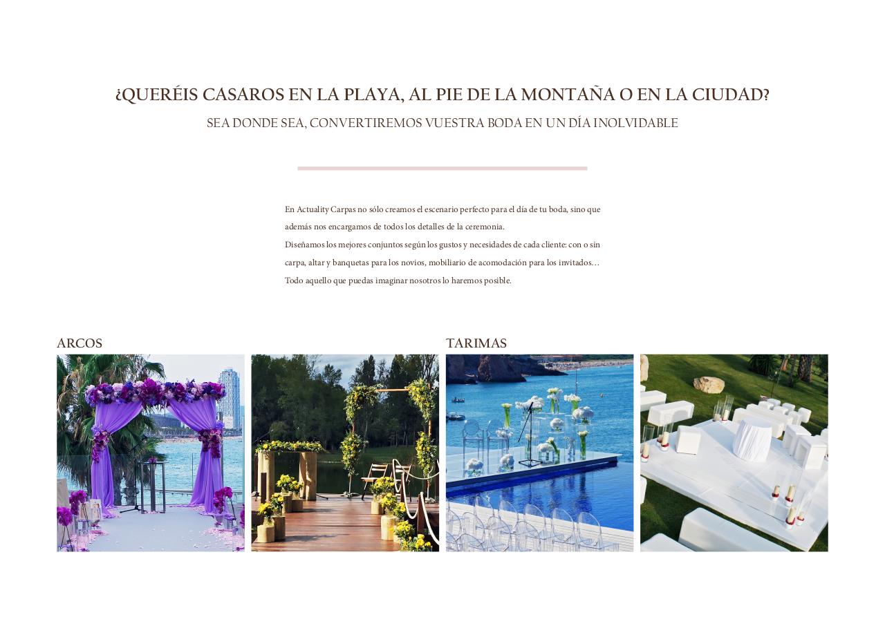 Vista previa del archivo PDF catlogo-actuality-carpas.pdf