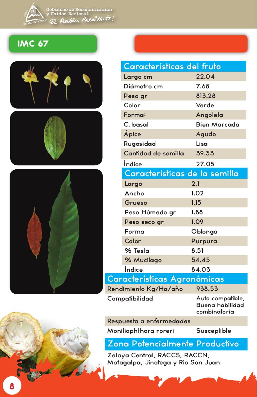 Vista previa del archivo PDF catalogo-de-clones-de-cacao-fida-grun2018.pdf