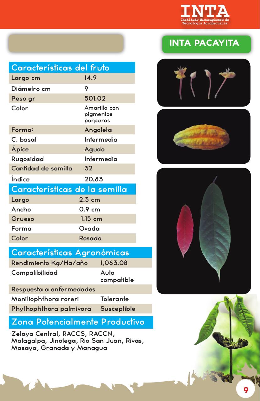 Vista previa del archivo PDF catalogo-de-clones-de-cacao-fida-grun2018.pdf