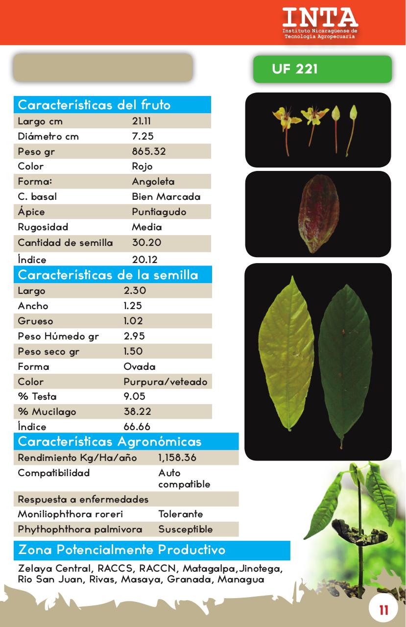 Vista previa del archivo PDF catalogo-de-clones-de-cacao-fida-grun2018.pdf
