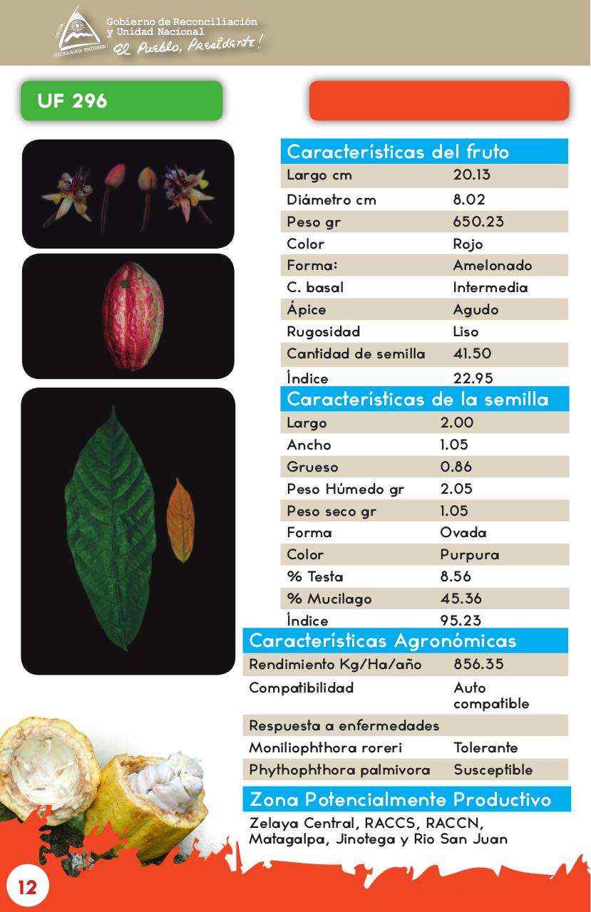 Vista previa del archivo PDF catalogo-de-clones-de-cacao-fida-grun2018.pdf