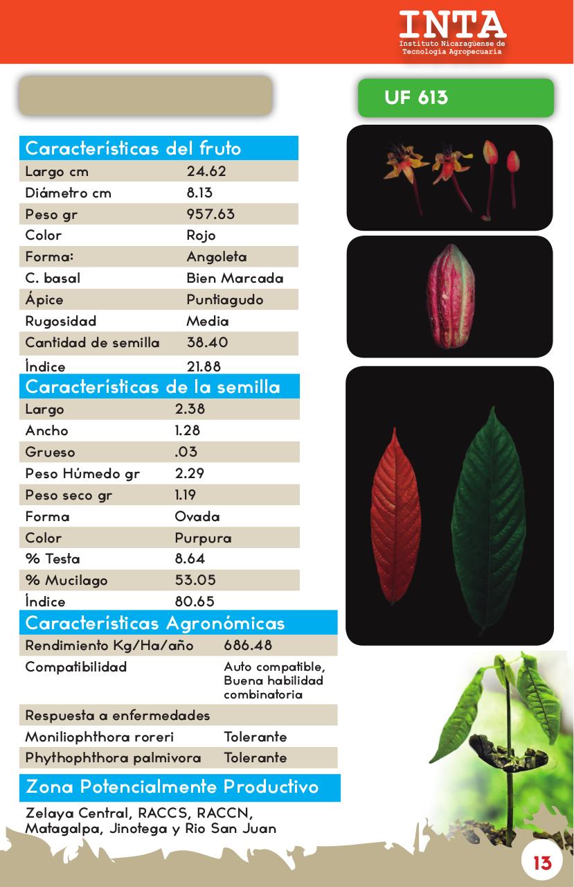 Vista previa del archivo PDF catalogo-de-clones-de-cacao-fida-grun2018.pdf