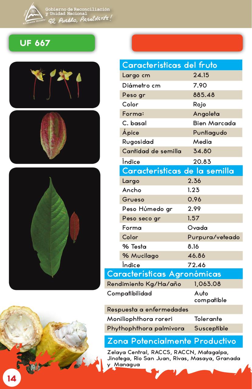 Vista previa del archivo PDF catalogo-de-clones-de-cacao-fida-grun2018.pdf