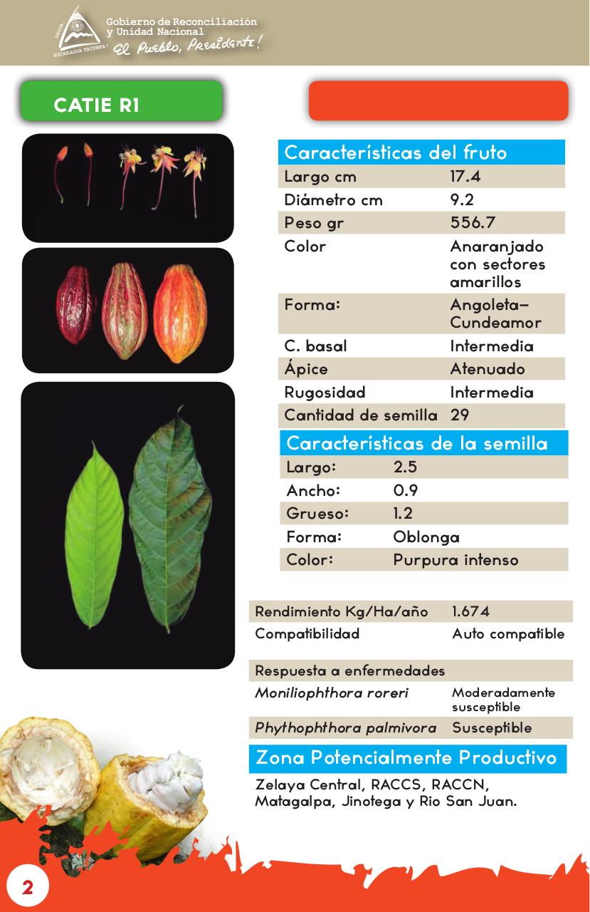 Vista previa del archivo PDF catalogo-de-clones-de-cacao-fida-grun2018.pdf