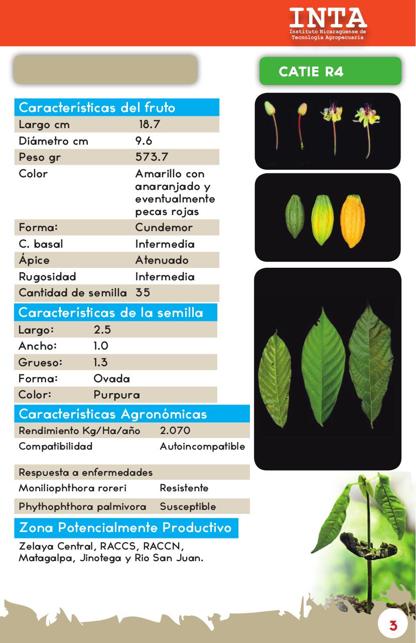 Vista previa del archivo PDF catalogo-de-clones-de-cacao-fida-grun2018.pdf