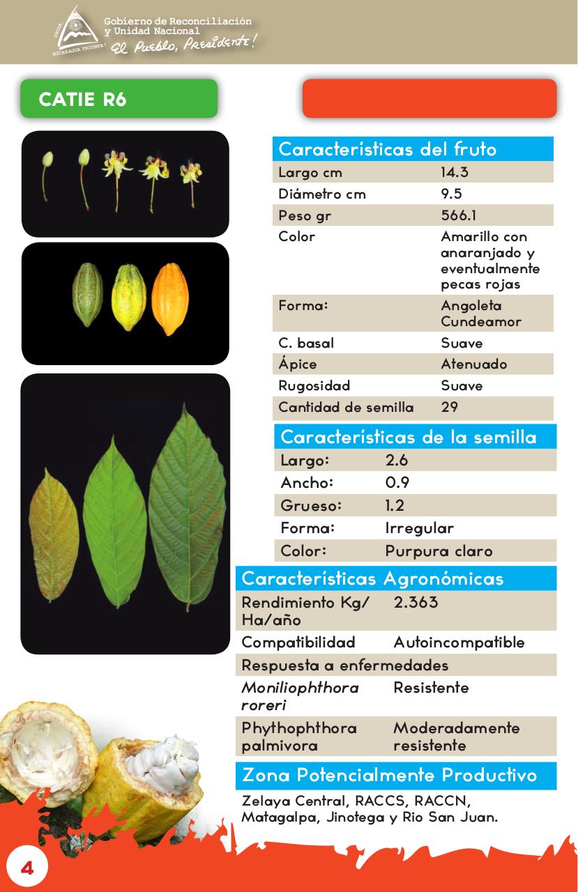 Vista previa del archivo PDF catalogo-de-clones-de-cacao-fida-grun2018.pdf