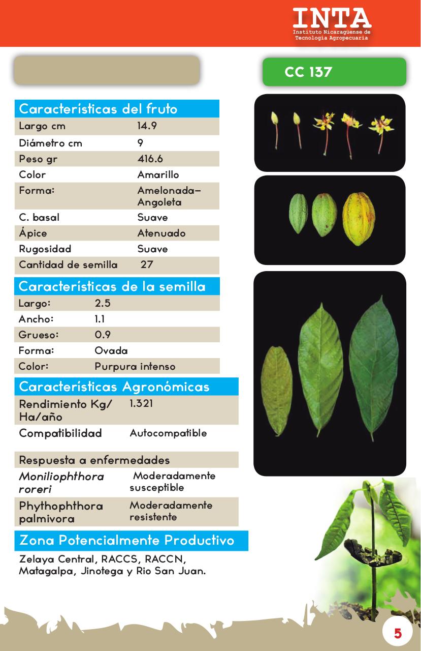 Vista previa del archivo PDF catalogo-de-clones-de-cacao-fida-grun2018.pdf
