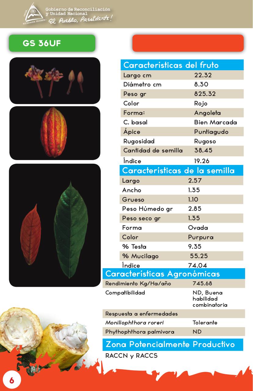 Vista previa del archivo PDF catalogo-de-clones-de-cacao-fida-grun2018.pdf