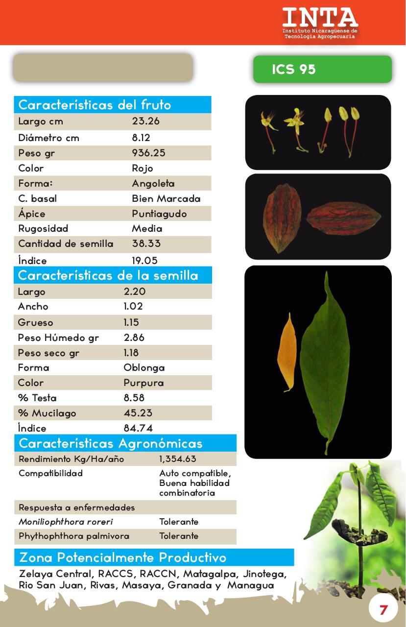 Vista previa del archivo PDF catalogo-de-clones-de-cacao-fida-grun2018.pdf