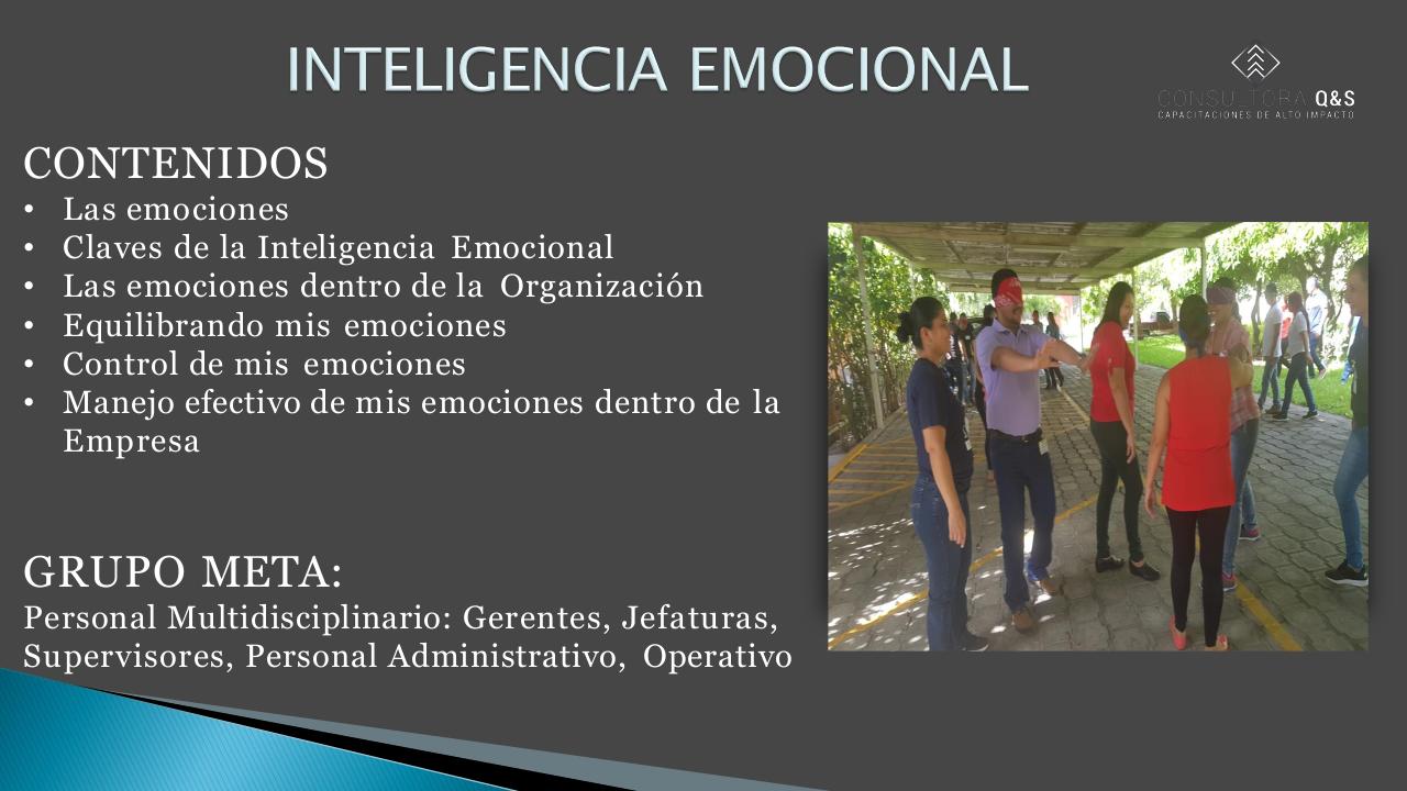 Vista previa del archivo PDF presentacion-de-servicios-qys.pdf